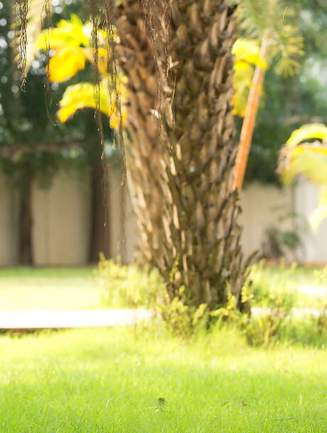 playboyplus are proud to present you with xxx pics featuring Gloria Sol demonstrating perfect form